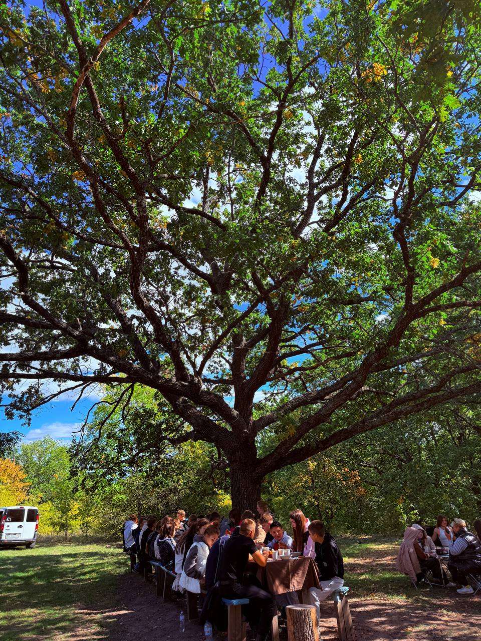 Про піврічні результати активностей у рамках заходів «One Day Camp»