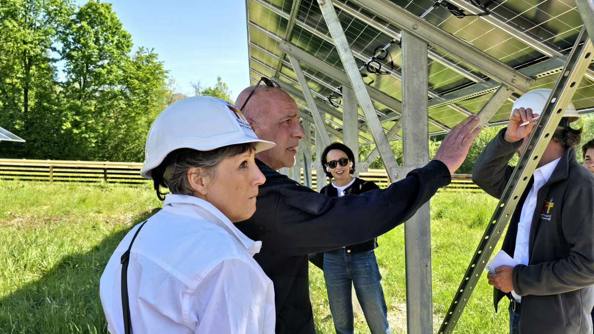 Продовжуємо реалізацію проєкту PHENIX: перші результати на Закарпатті, план дій на Рівненщині